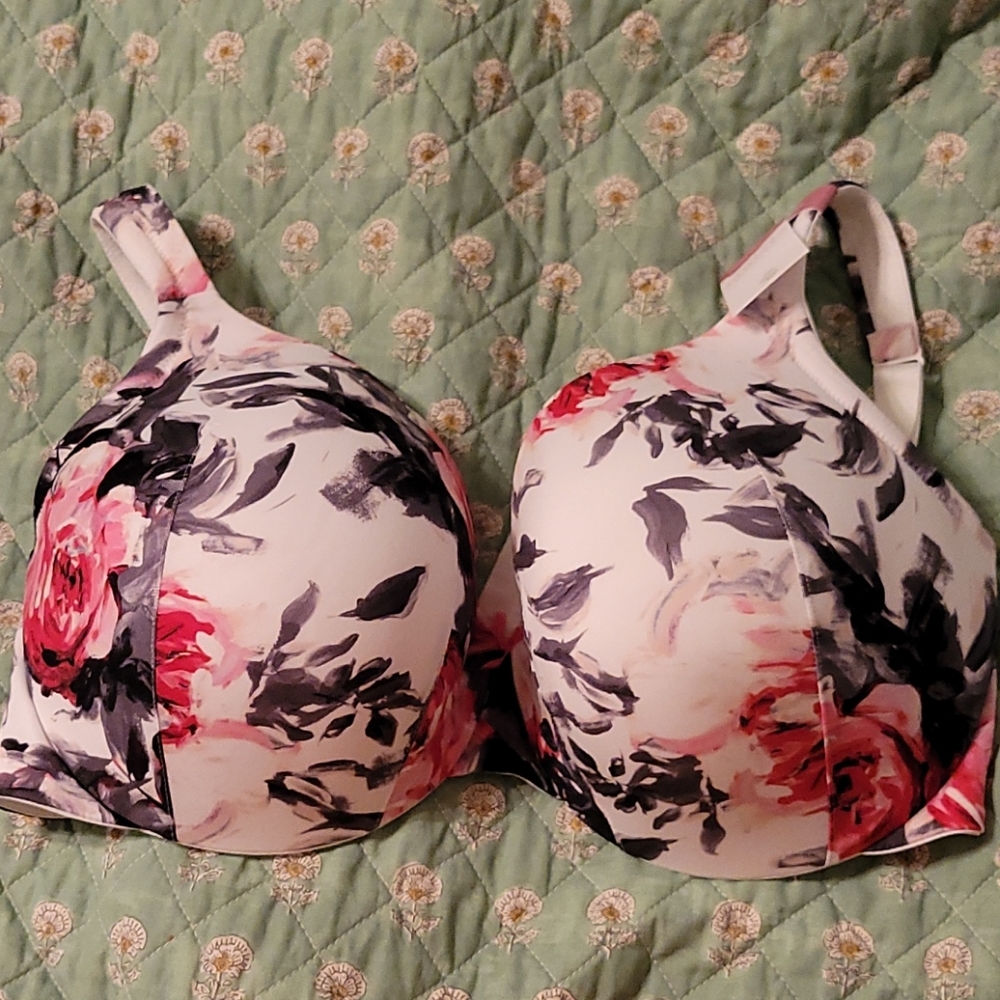 Lane Bryant Bra